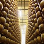 Fromage italien : Parmesan contre Grana Padano