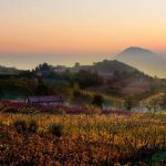 Les Monts Euganéens : vin, spas et voies antiques au cœur de l’Italie