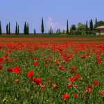 C’est le printemps : La « saison secrète » en l’Italie dans 5 villas de luxe