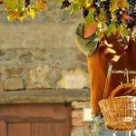 Saveurs d’Italie : vins italiens sophistiquées et raffinés